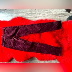 Burgandy  j brand skinny velvet pants in perfect shape never worn size 25